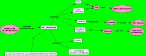 Nutrición de las plantas