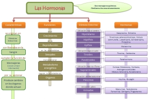 hormonascmap