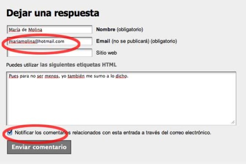 Figura 2 - Suscripción a los comentarios de un blog con el tema Atahualpa